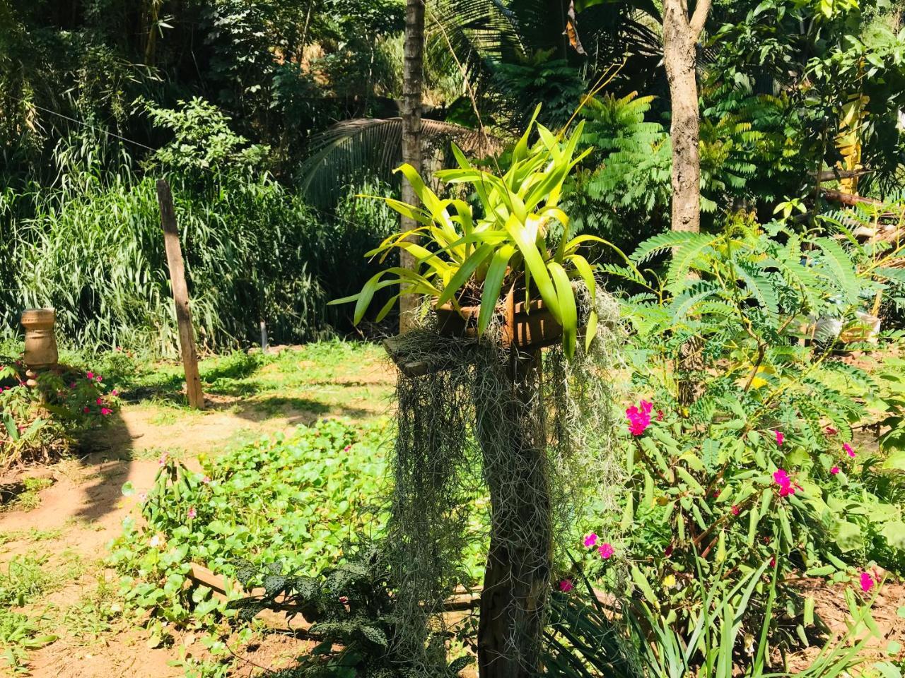 Unique Villa Kandy Extérieur photo